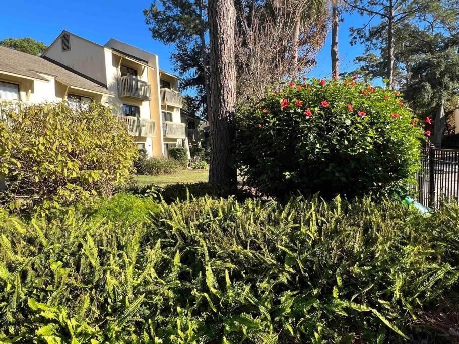 Spacious, Cozy Villa W/Parking In Coligny Villas Hilton Head Island Esterno foto