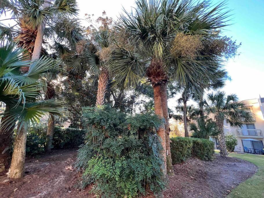 Spacious, Cozy Villa W/Parking In Coligny Villas Hilton Head Island Esterno foto